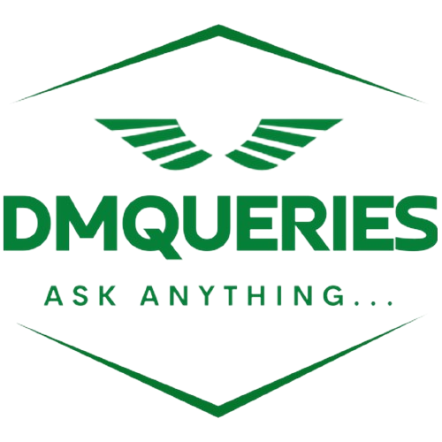 DMQUERIES logo